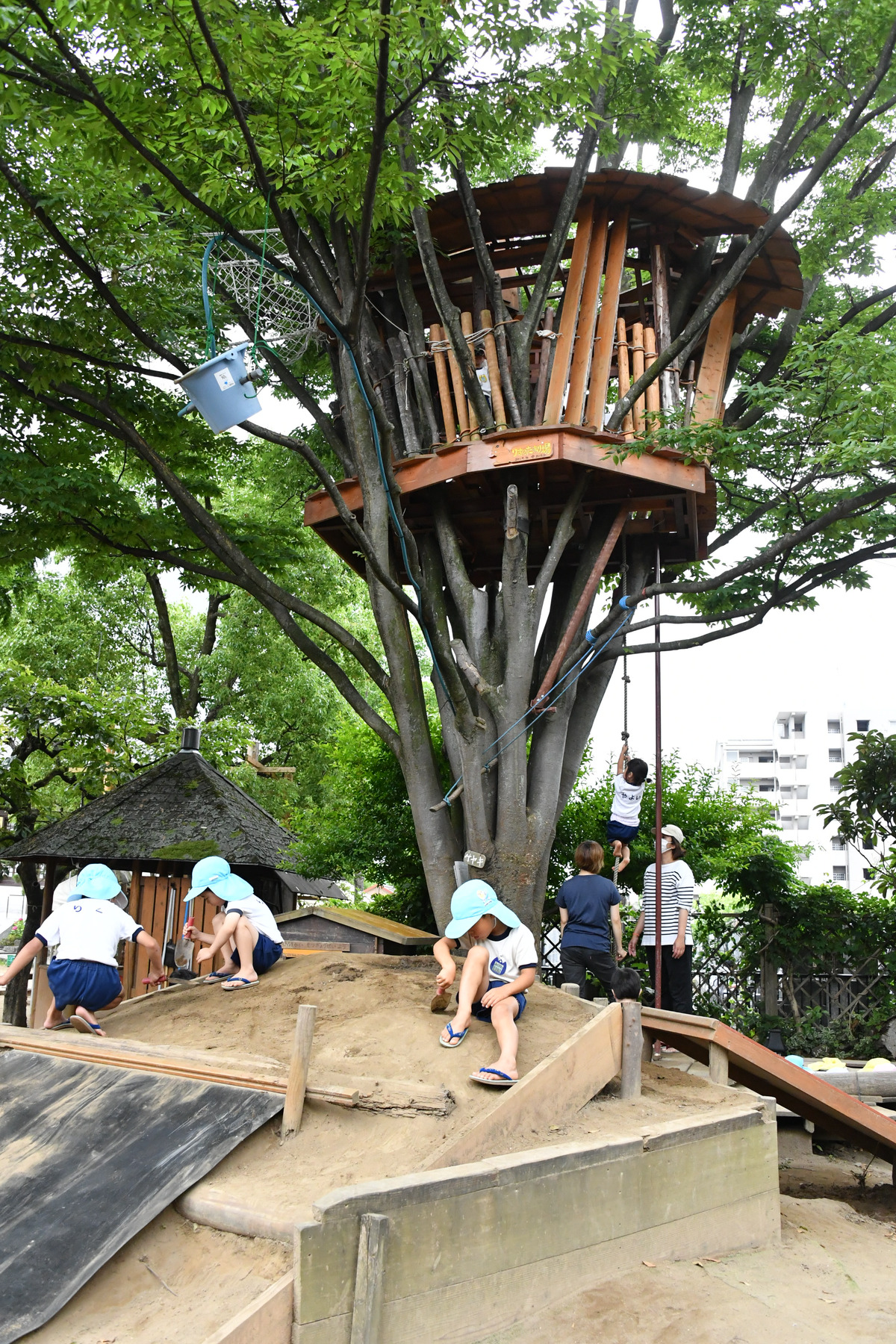学校法人 東江寺学園 東江幼稚園 葛飾区私立幼稚園連合会